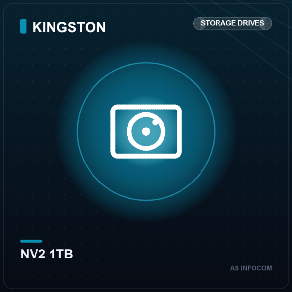 Kingston NV2 1TB PCIe 4.0 NVMe M.2 SSD (SNV2S/1000G)